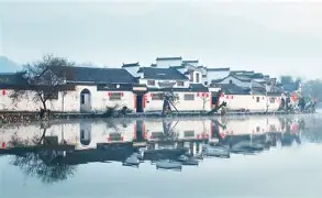 徽州鲸鲨队鏖战皖南黑豹队，田径杯赛惊险晋级，核心复出即建功。韧性比赛的样板